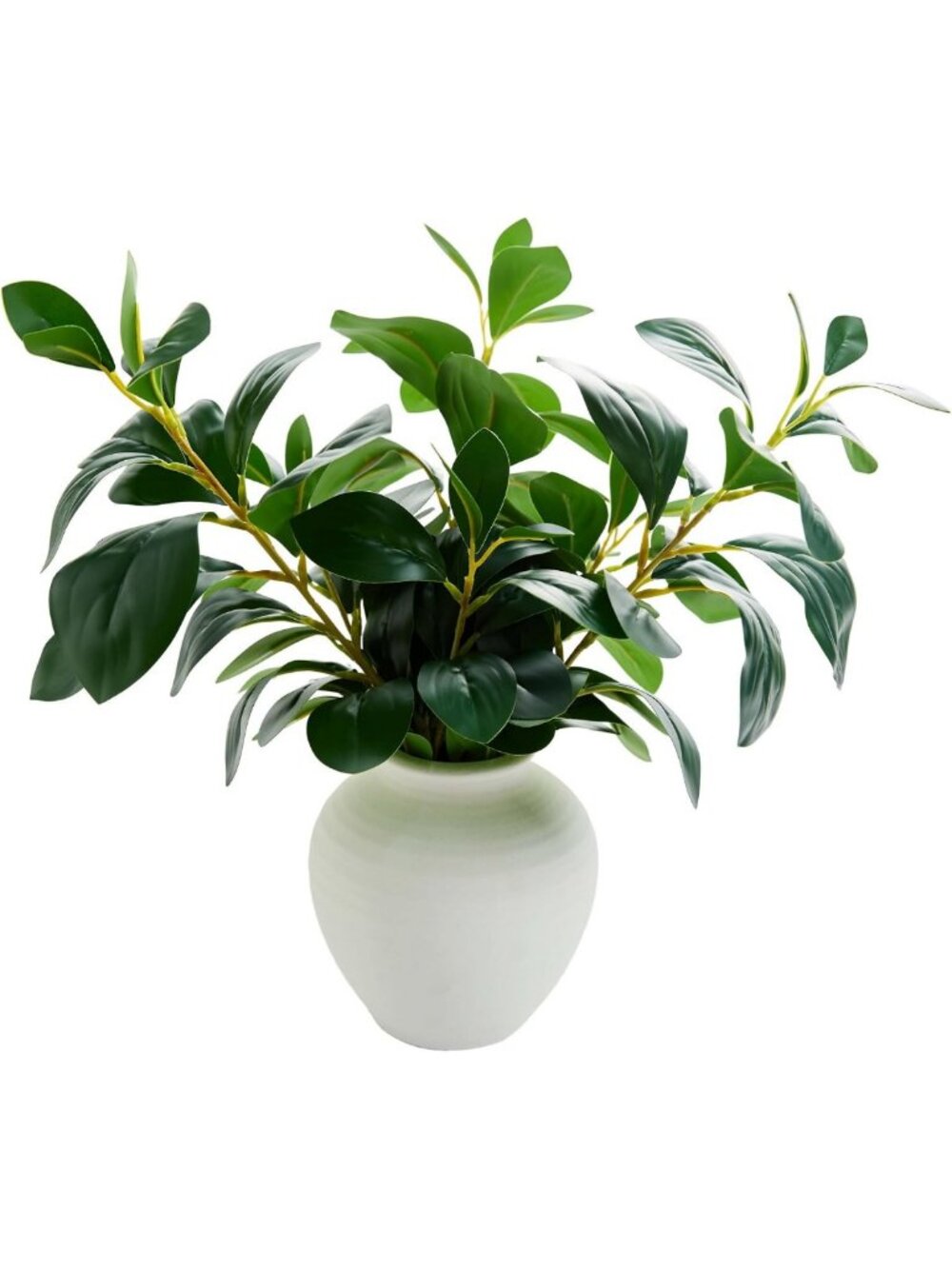 16" Broad Leaf Ficus Branches in Elegant Ceramic Vase - Home Decor Accent